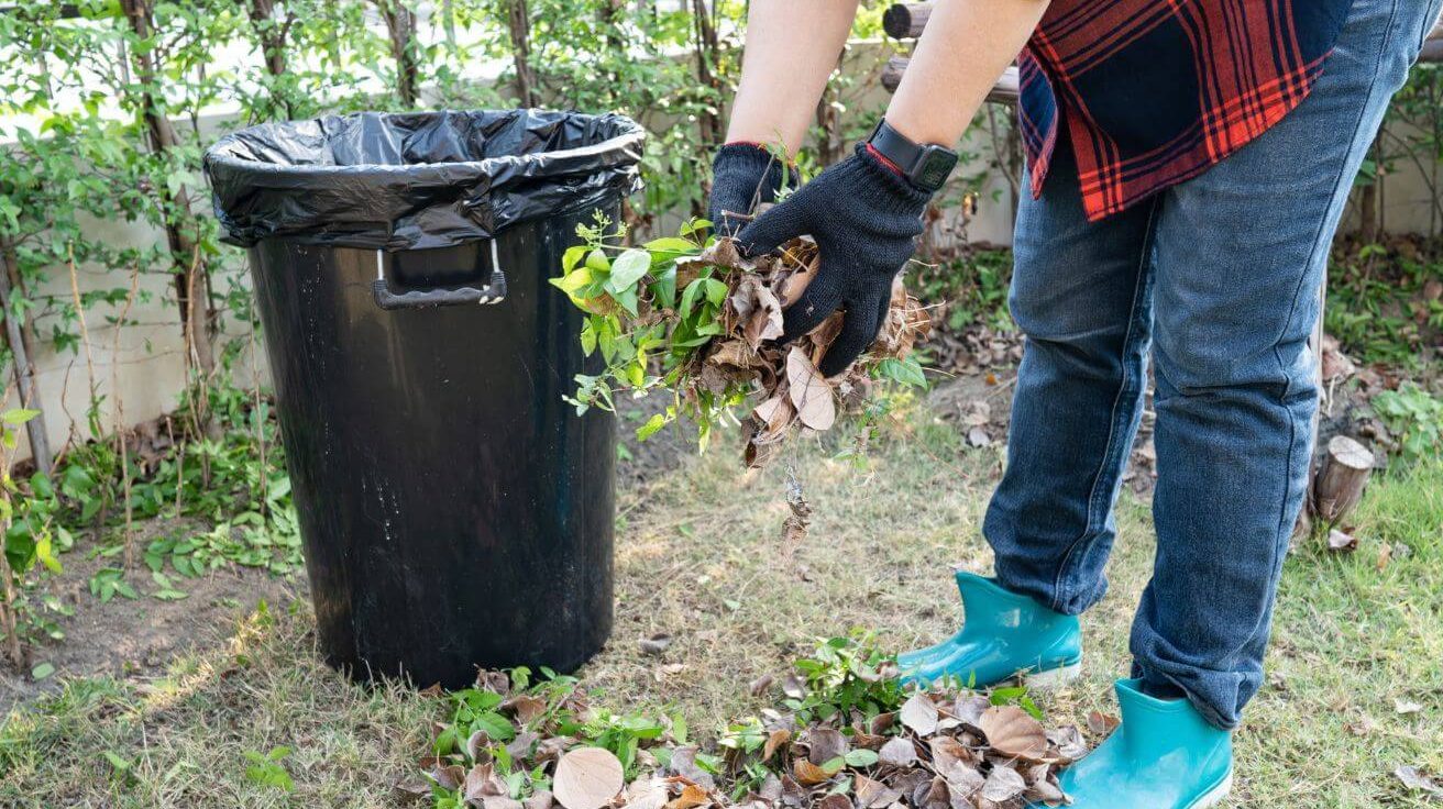 Faut-il vraiment ramasser les feuilles mortes ? Même les paysagistes commencent à douter