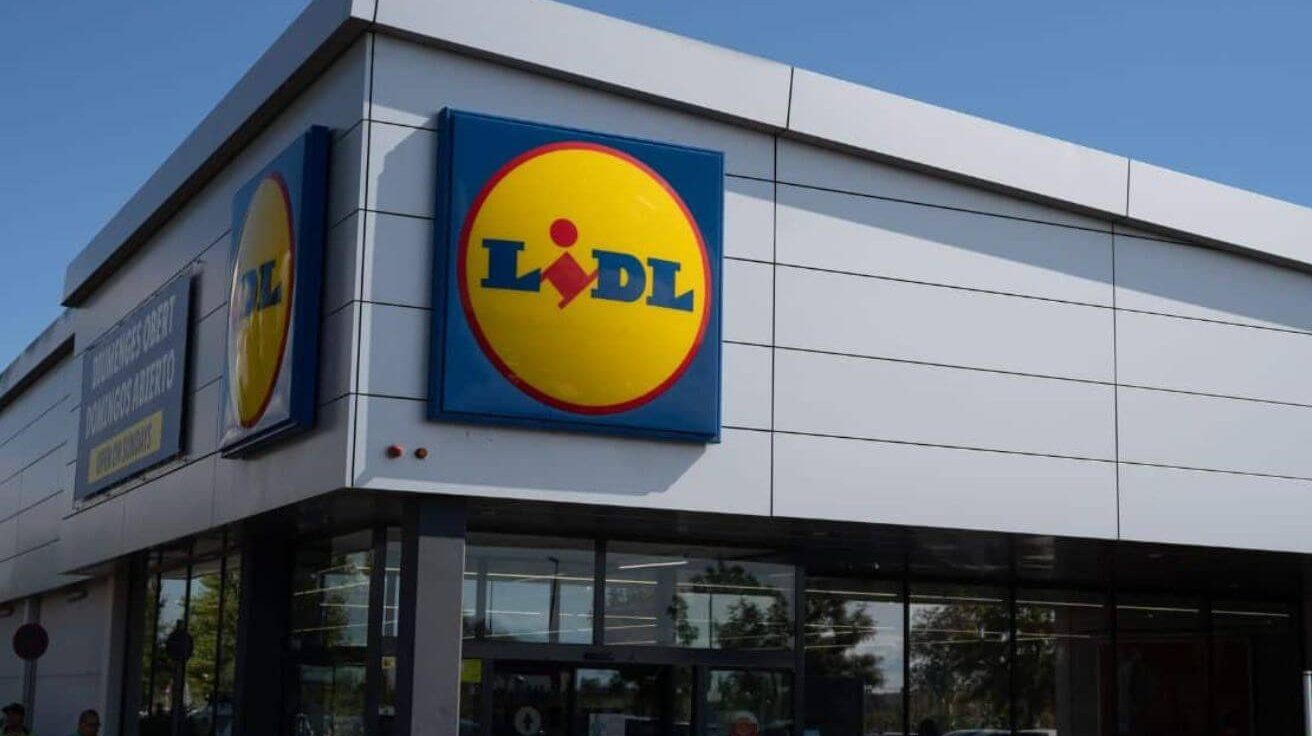 LIDL frappe fort avec cette mini-tronçonneuse pour sublimer votre extérieur